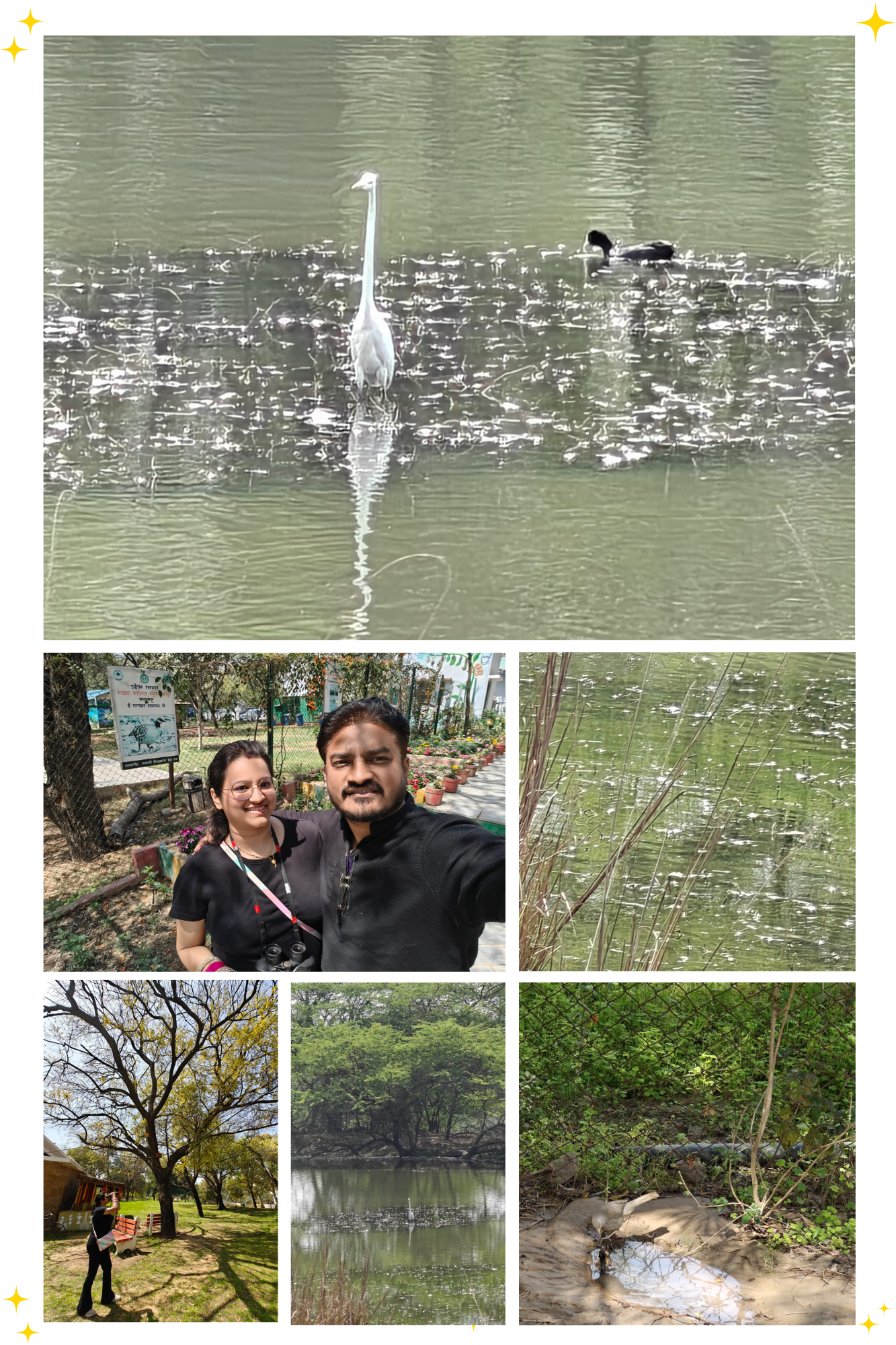 Witness Nature's Flight: Sultanpur Bird Sanctuary Experience